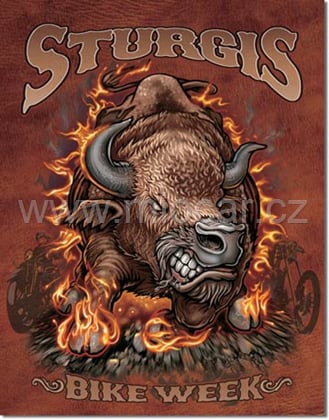 Sturgis - Bison