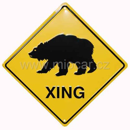 Bear crossing / Medvědí přechod 