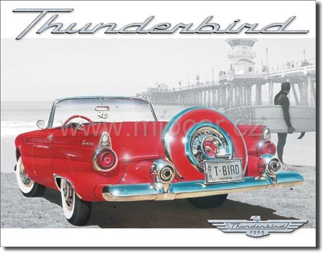 T-Bird Beach Scene