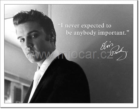 Elvis - Important / '' Nikdy jsem nečekal, že budu někým důležitý'' E.P. 