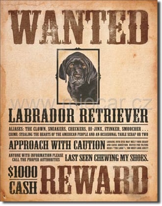 Black Lab - Wanted Poster