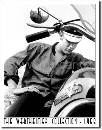 Elvis on Bike