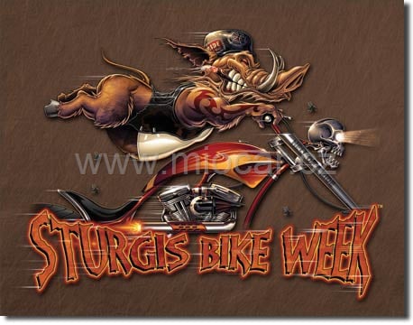 Sturgis - Modern Boar